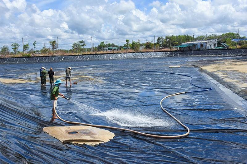 Gia cố nền đất cho ao nuôi thủy sản